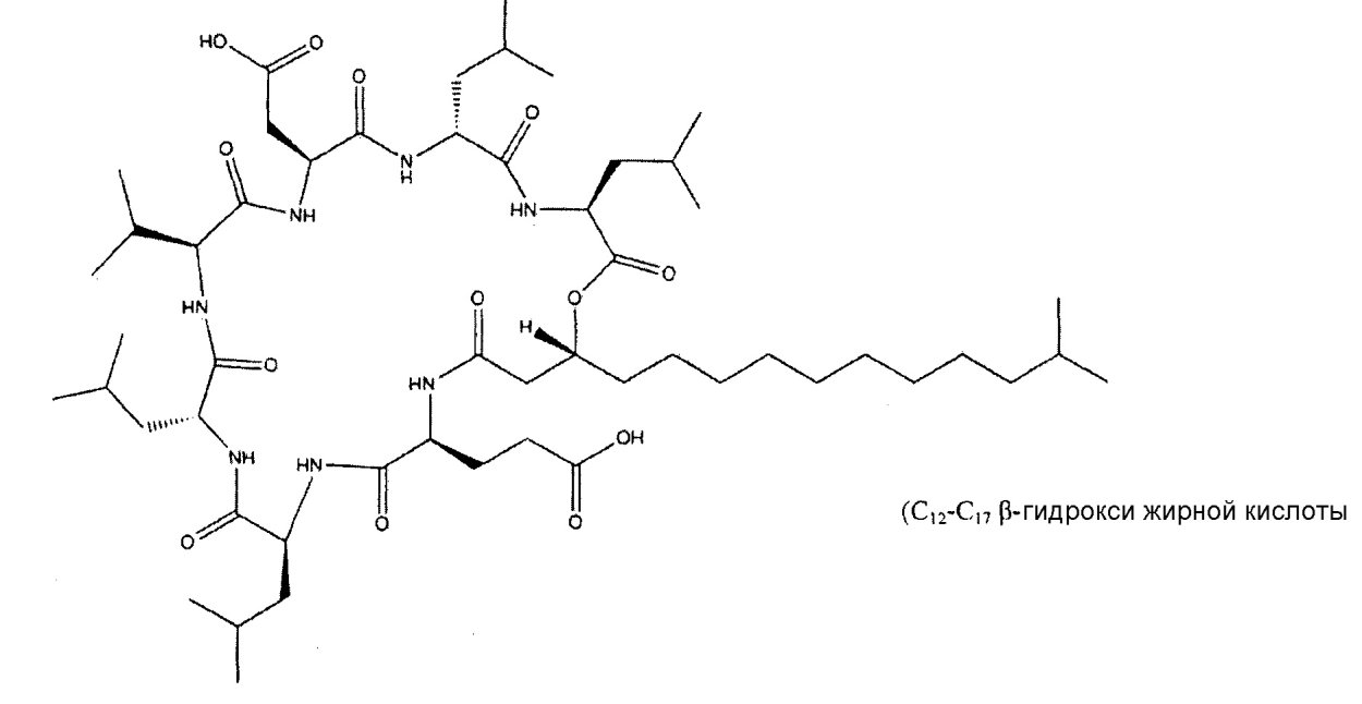 Глеотрихия водоросль
