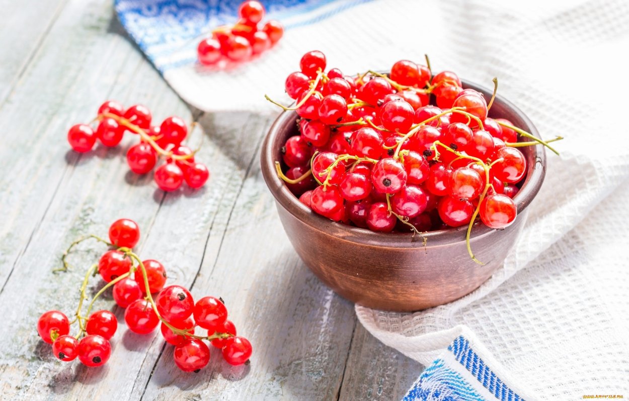 Fresh Harvest красная смородина