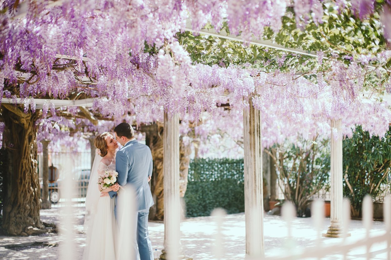 Глициния на свадьбе