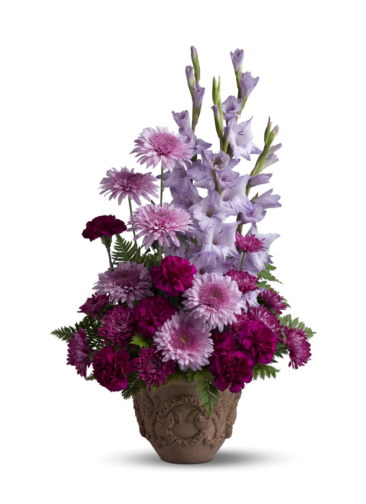 Хризантемы с гладиолусами