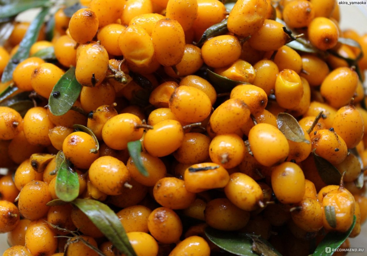 Jiyda mevaning rasmi