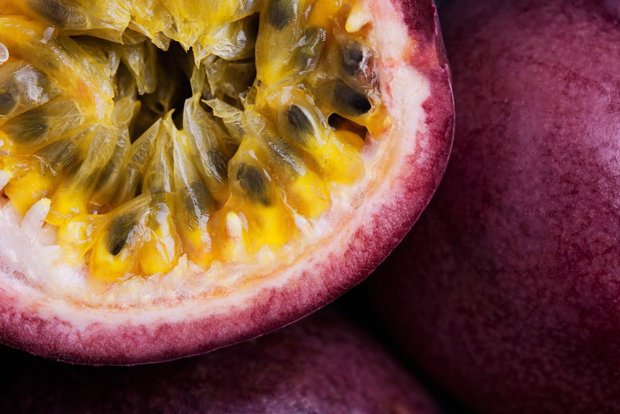 Сорта киви фиолетовый