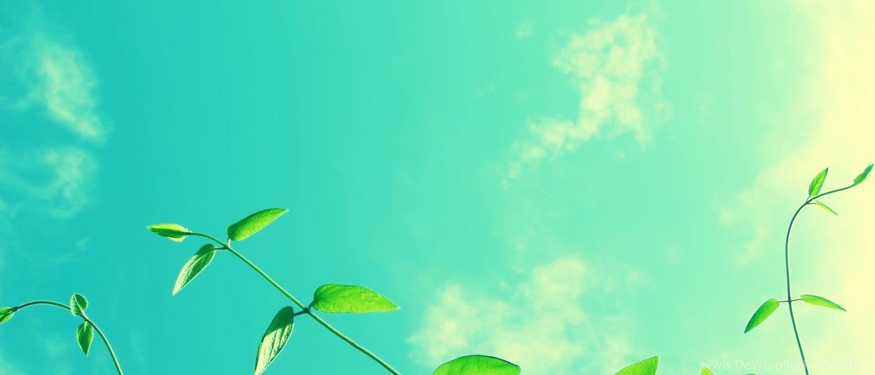 Нежно зеленый фон