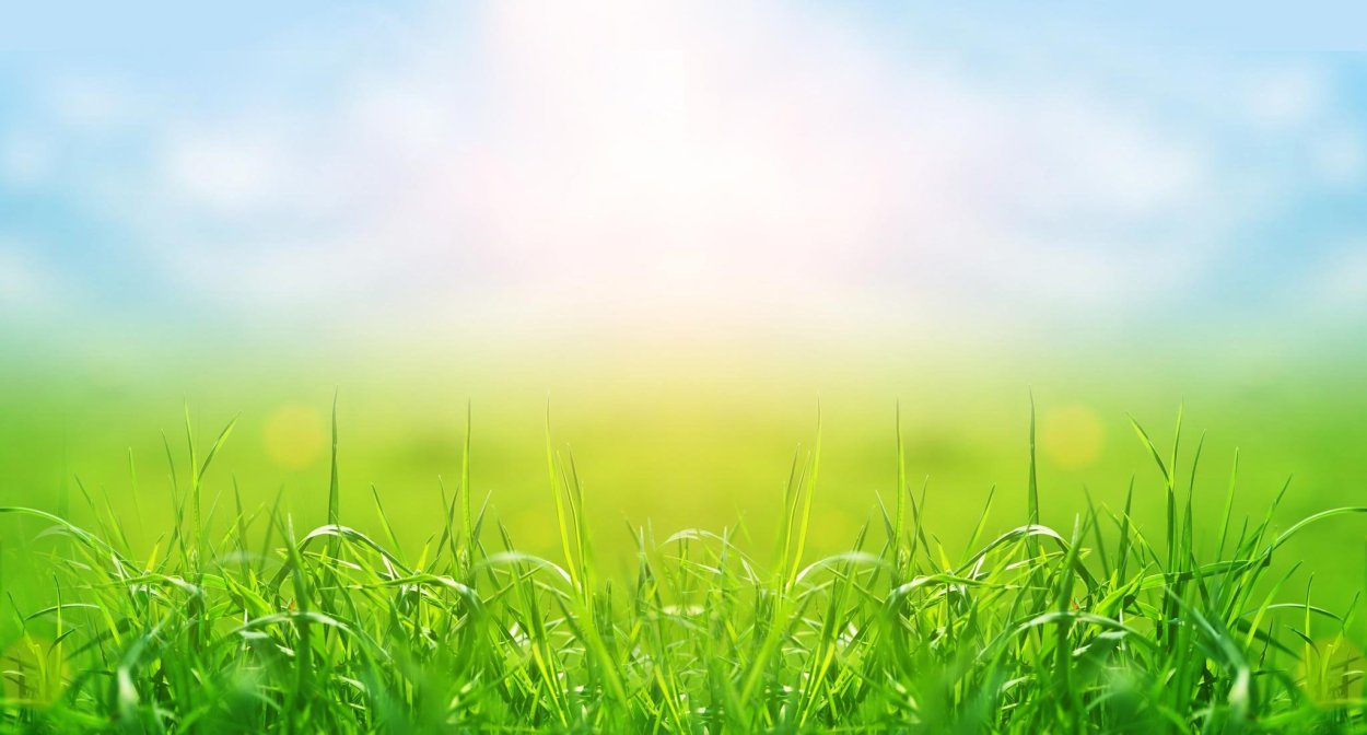 Летний фон для презентации