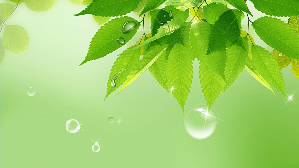 Весенний фон