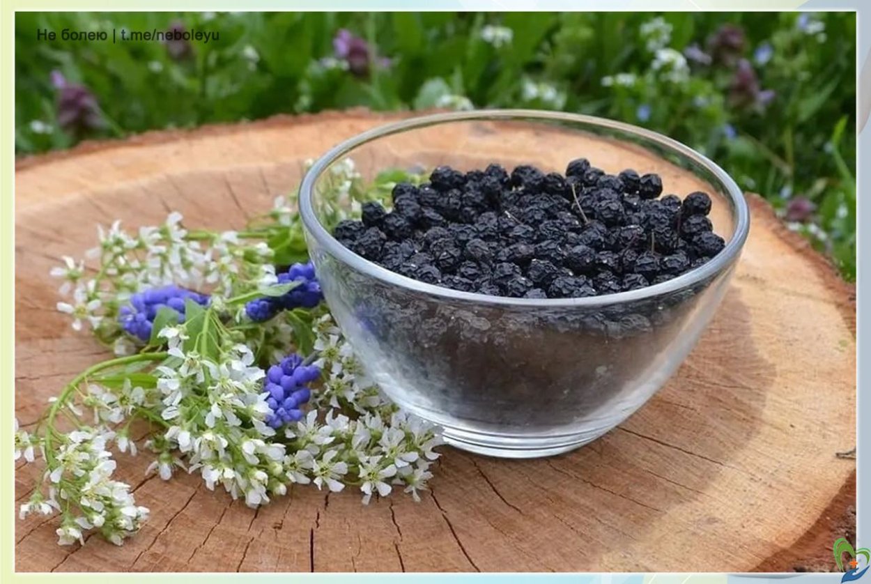 Черемуха ягоды