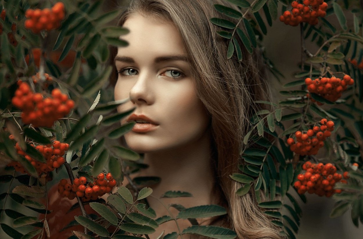 Черемуха махровая