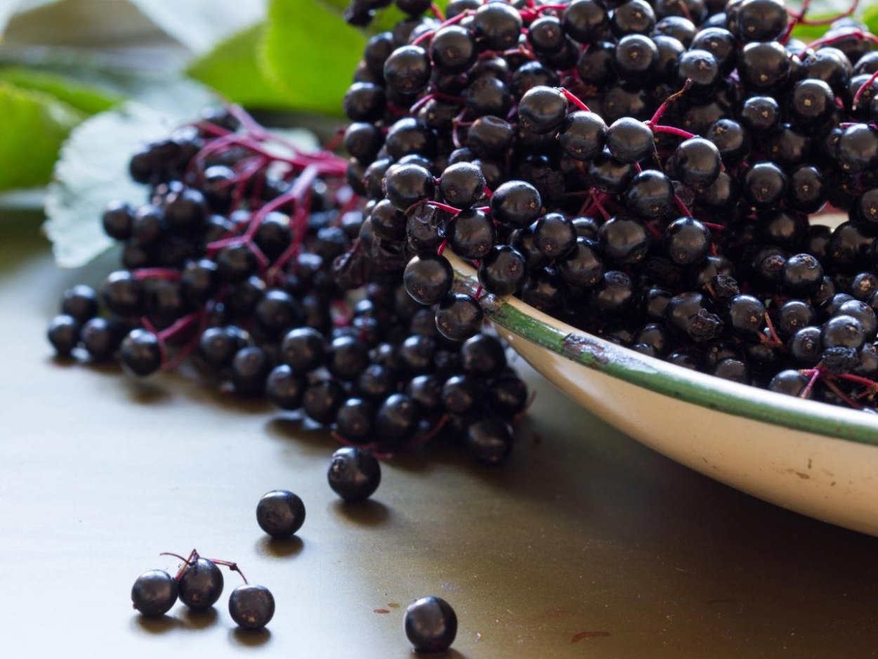 Ягоды черёмухи блюда