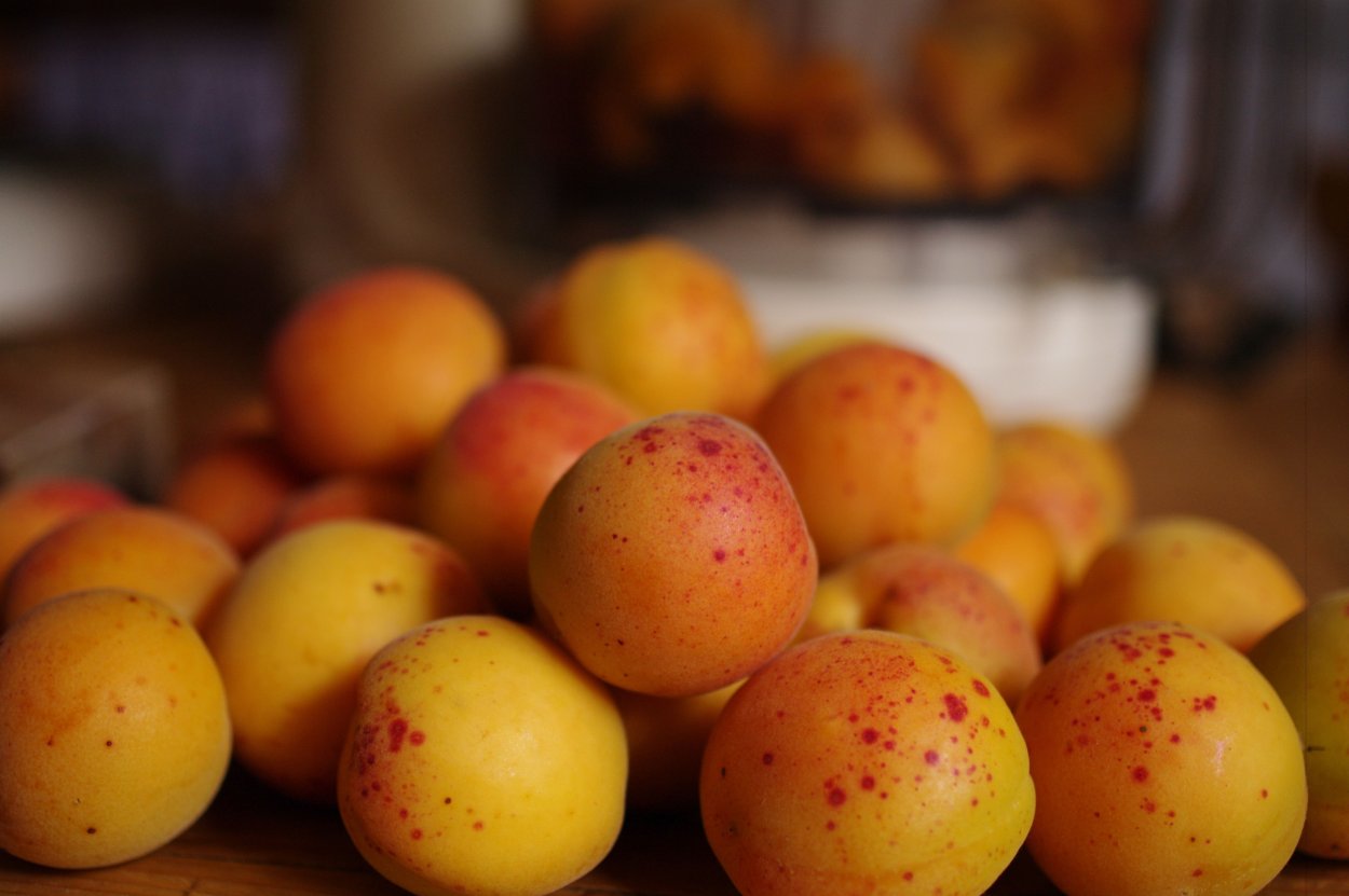 Абрикос Искра