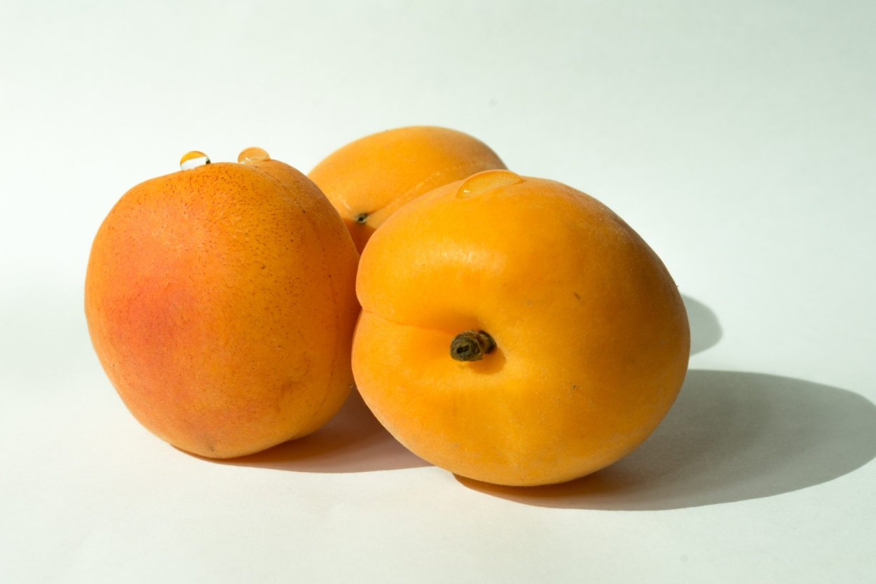 Абрикос или жердела