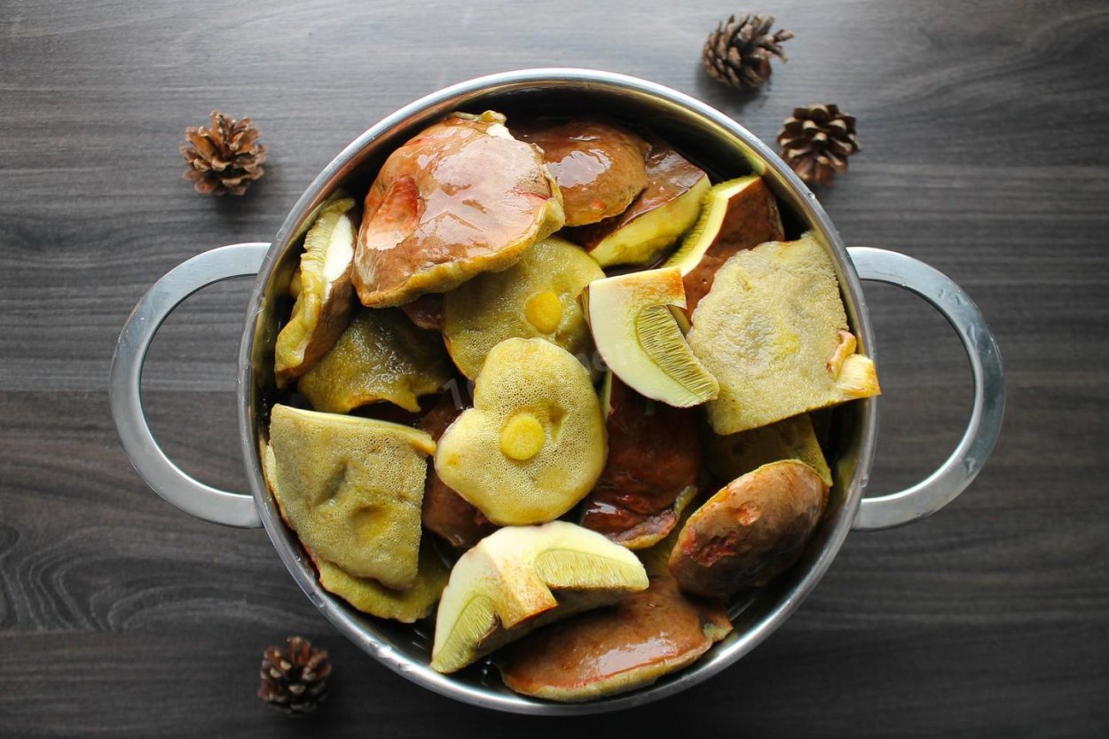 Моховик желто-бурый