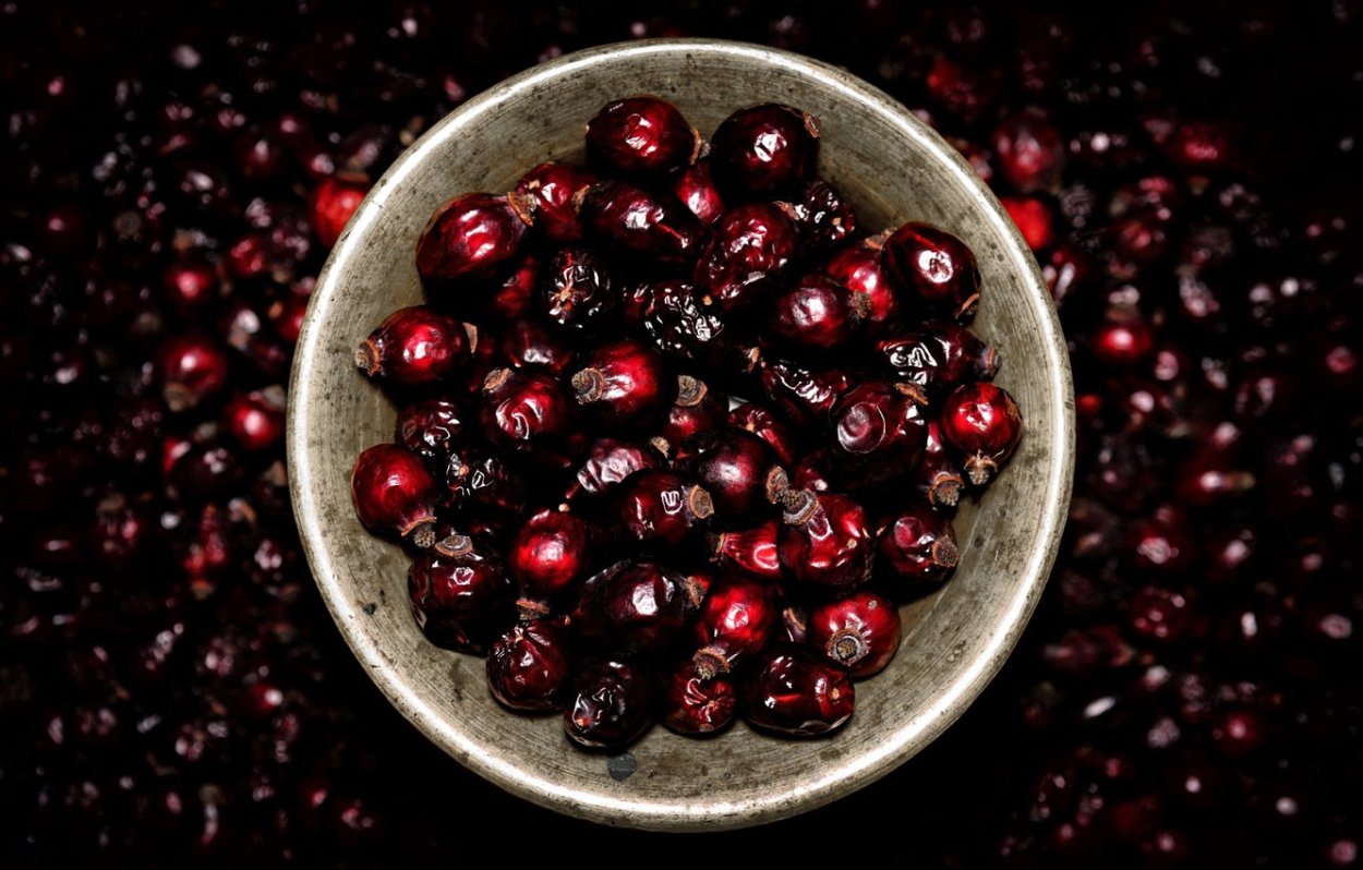 Вишня кислая