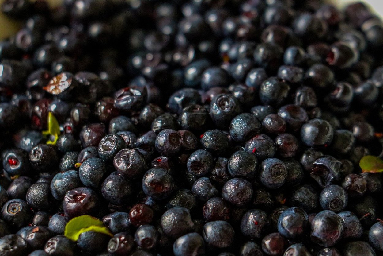 Темные ягоды