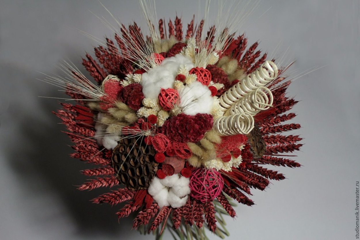 Берк сухоцвет