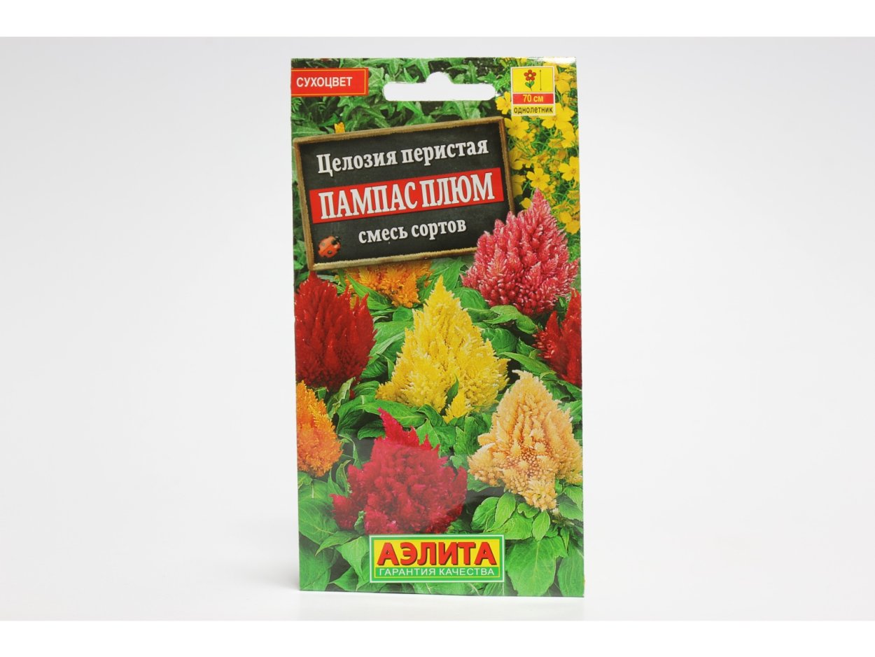 Целозия серебристая перистая