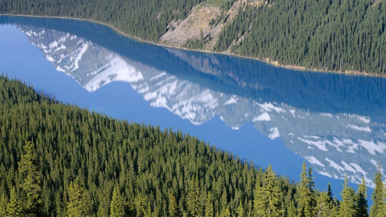 Горно-Таёжные леса Байкала