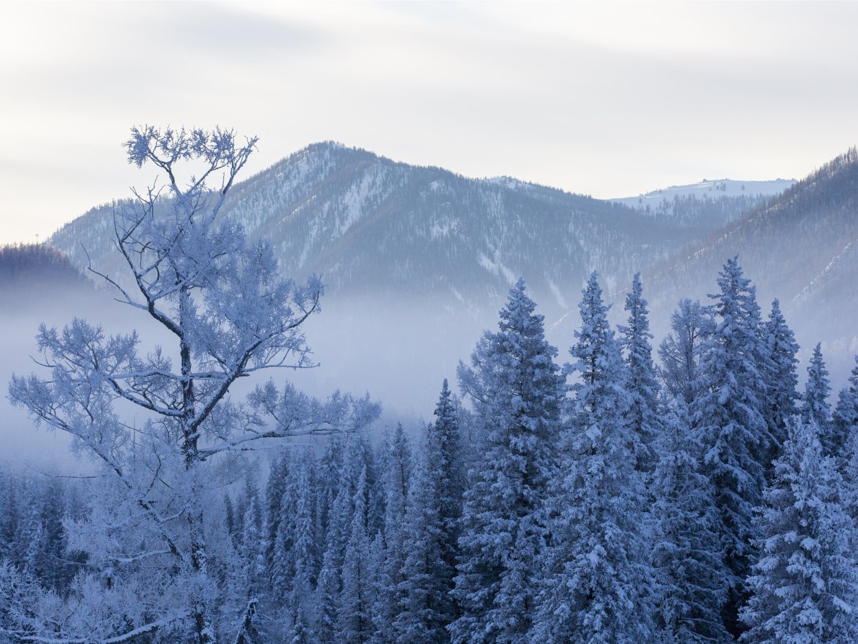 Зимнее небо