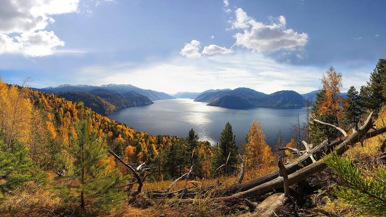 Алтайский заповедник Телецкое озеро