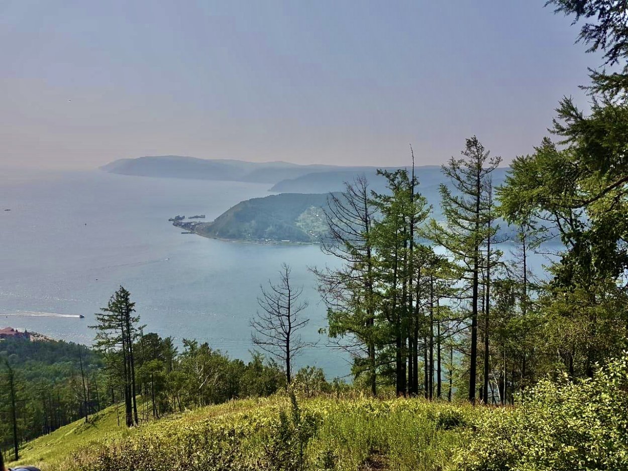 Уральские горы сосны Южный Урал