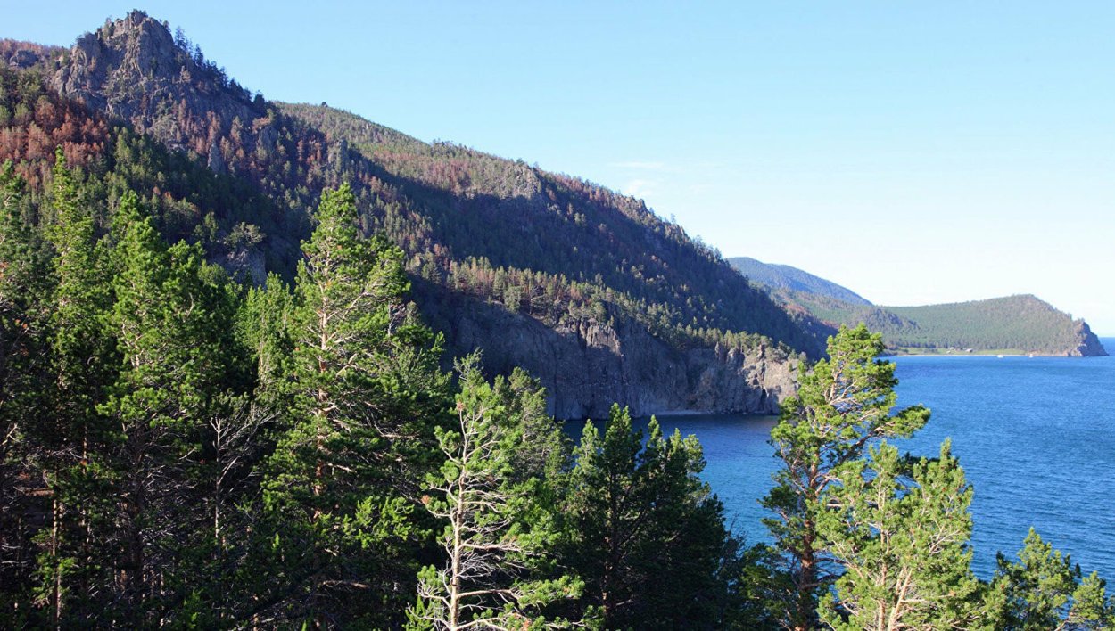 Таежные красоты.Байкала