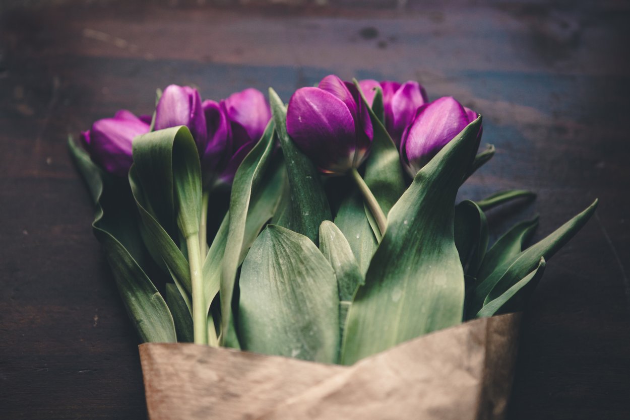 Композиции с белыми тюльпанами