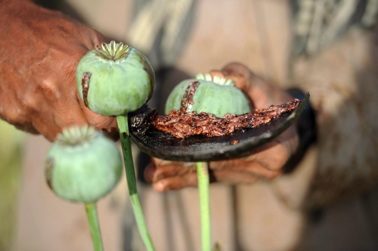 Кукнори Чой