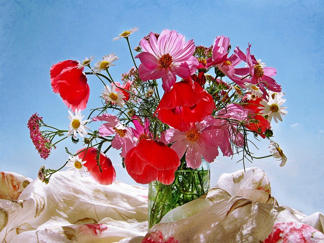 Красивый букет полевых цветов