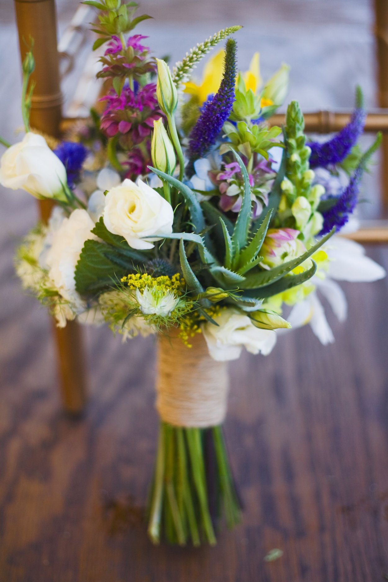 Гипсофила Ромашковая