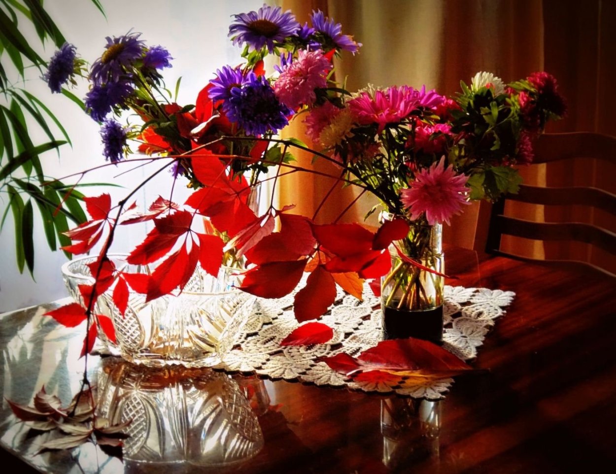 Осенние цветы на окне