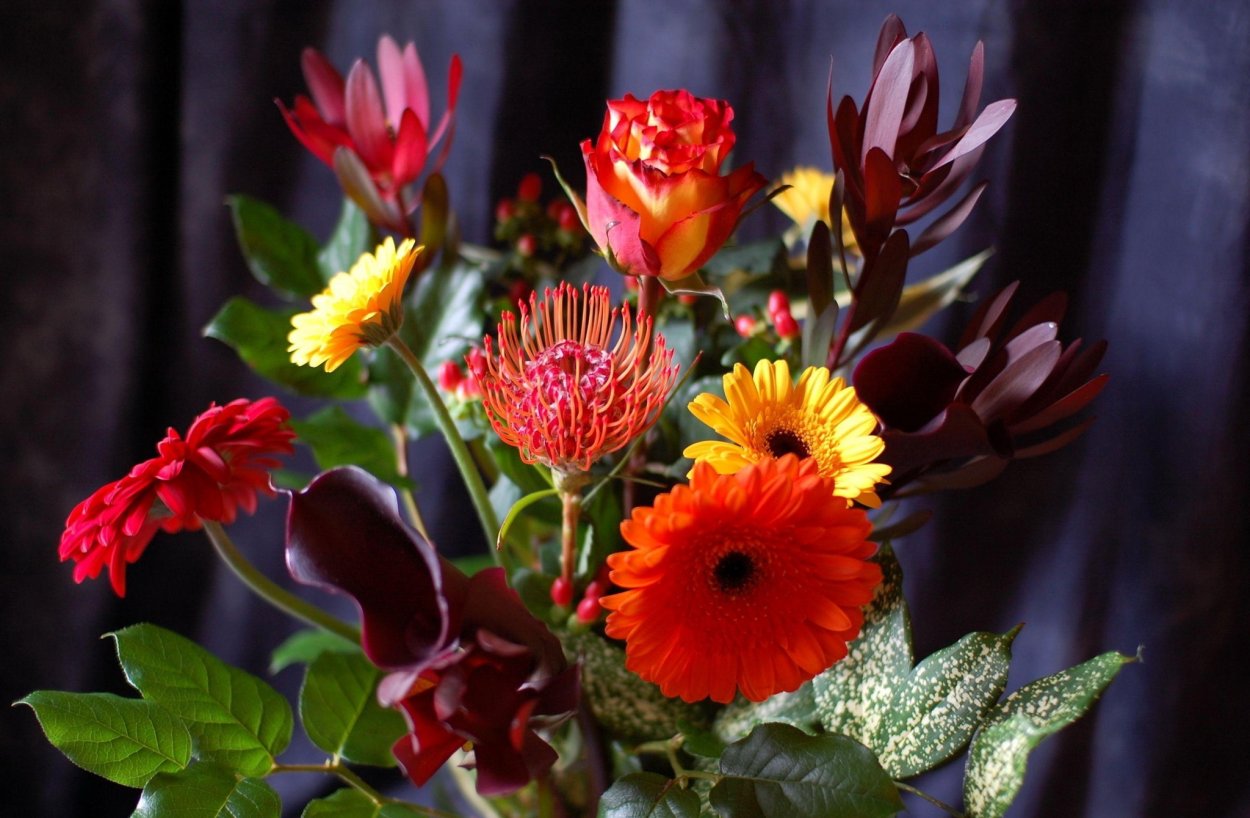 Картинки на рабочий стол осенние цветы