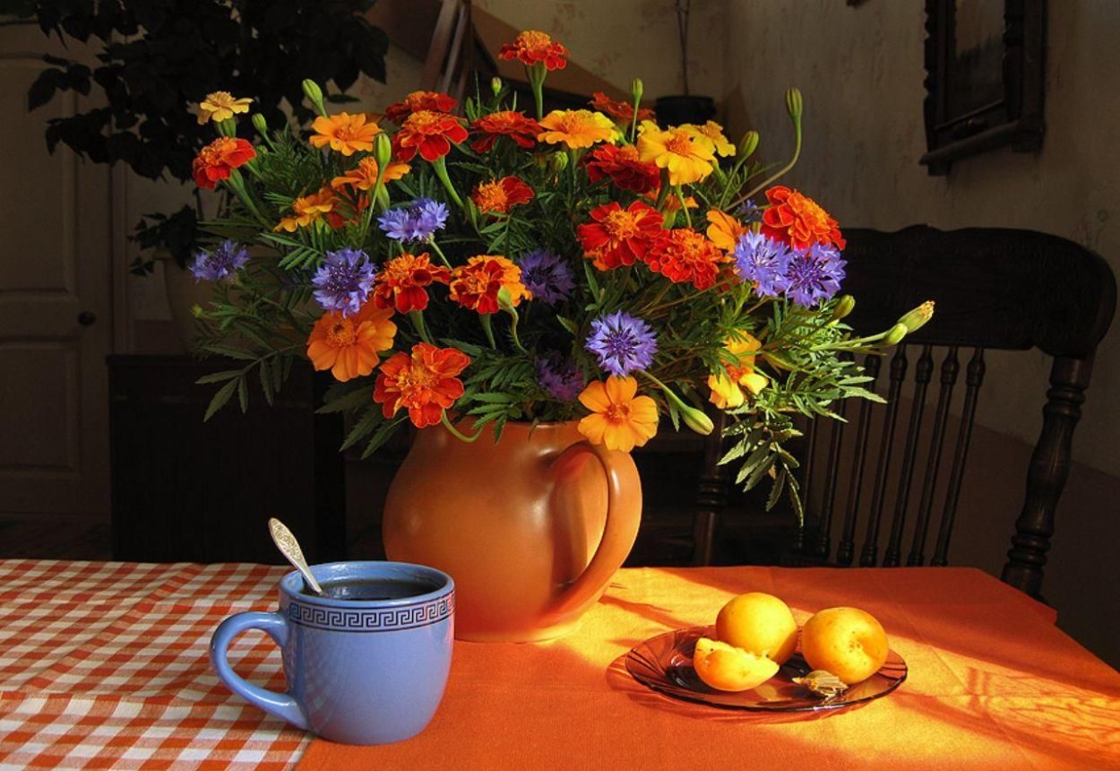 Цветы бархатцы букет