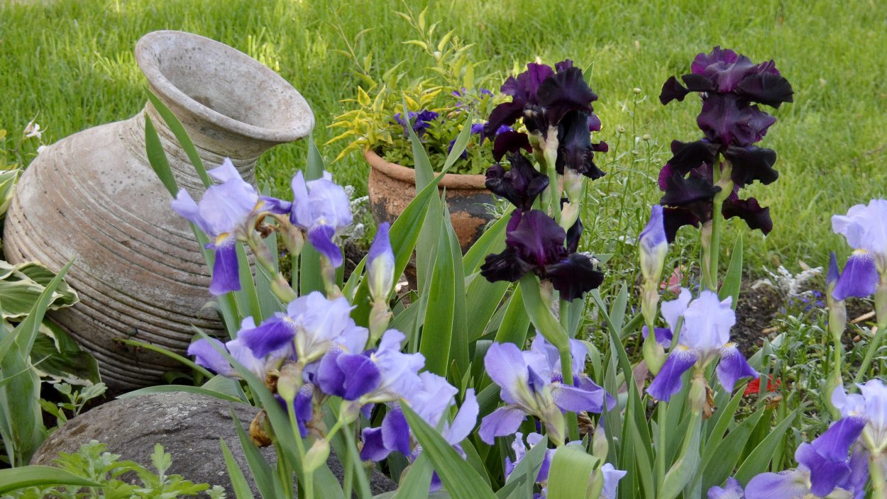 Прекрасного летнего вечера