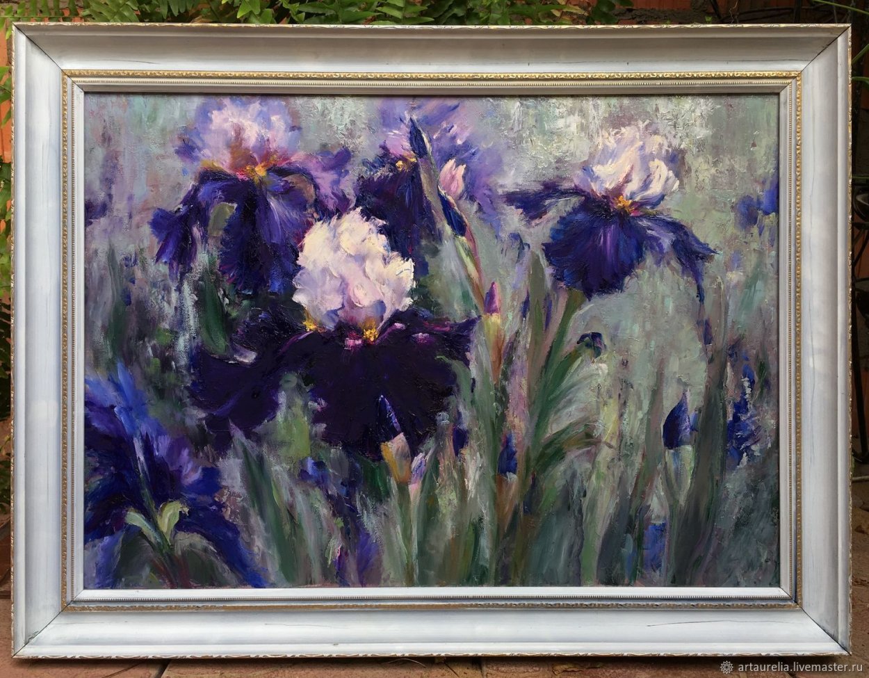 Ирисы луговые картинки