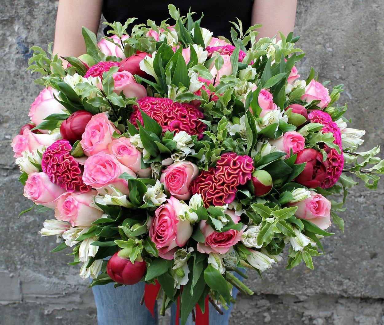 Пионы целозия