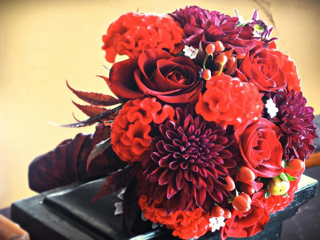 Бордовые георгины в букете