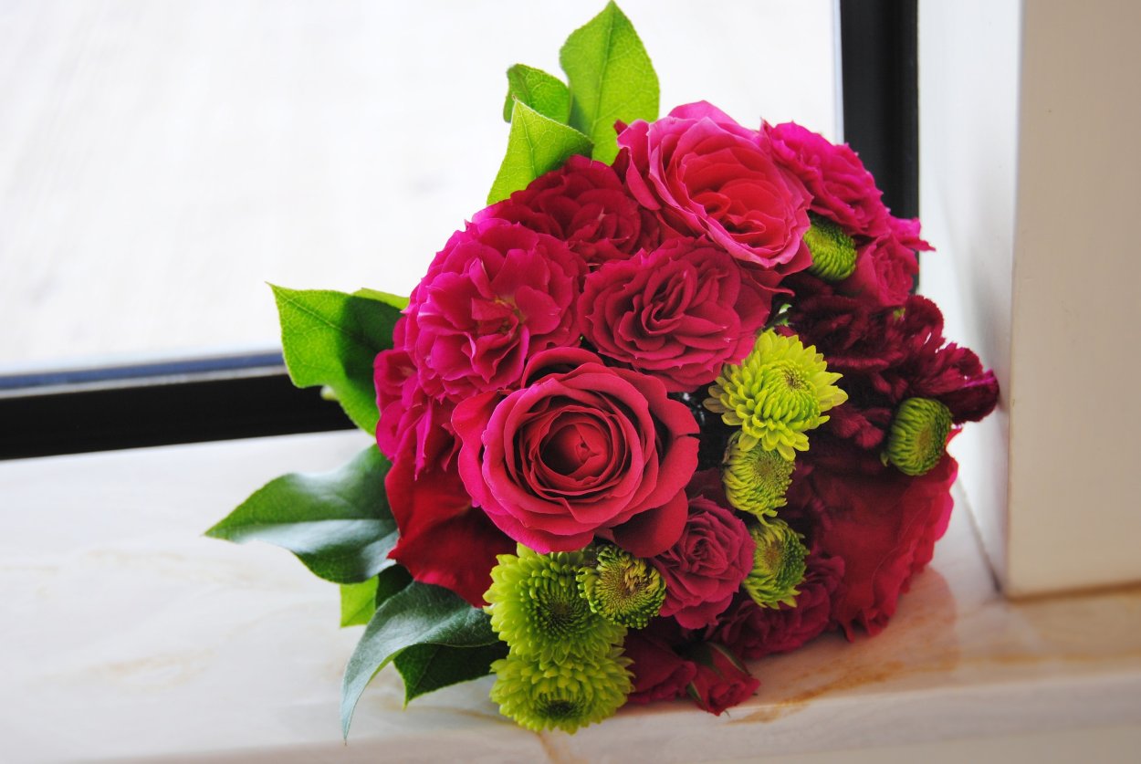 Цветы целозия