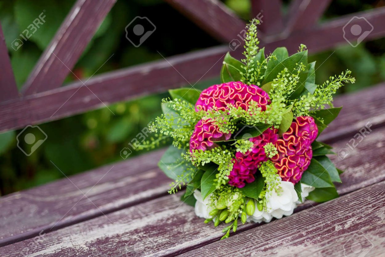 Букет из целозии гребенчатой