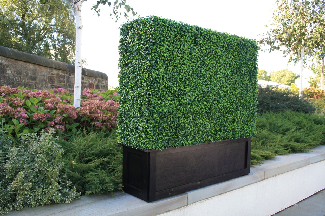 Самшит искусственный изгороди