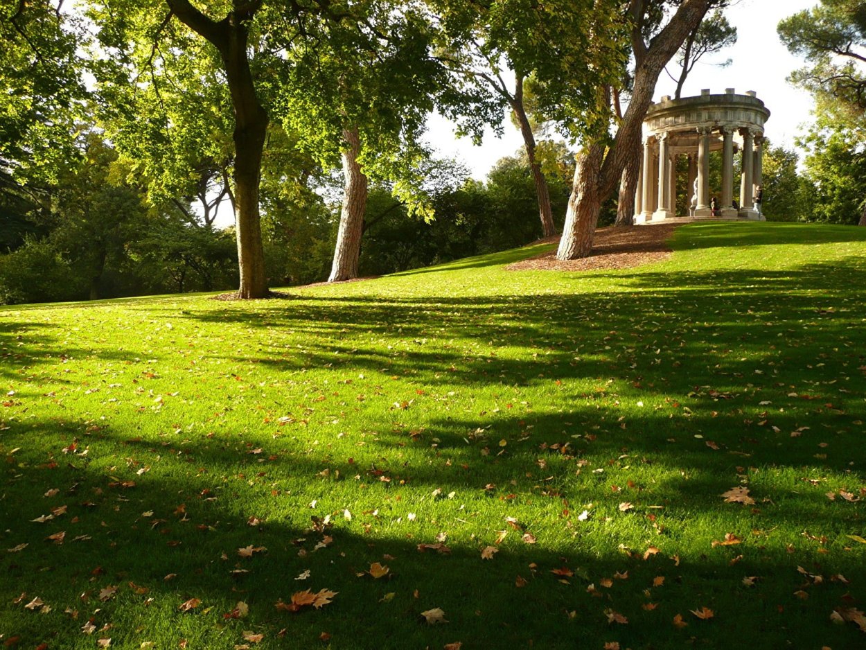 Дубовая аллея Краснодар