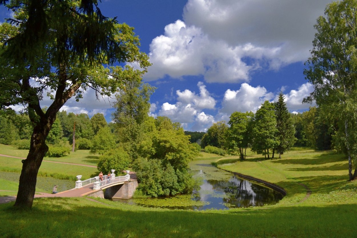 Природа Павловский парк летом