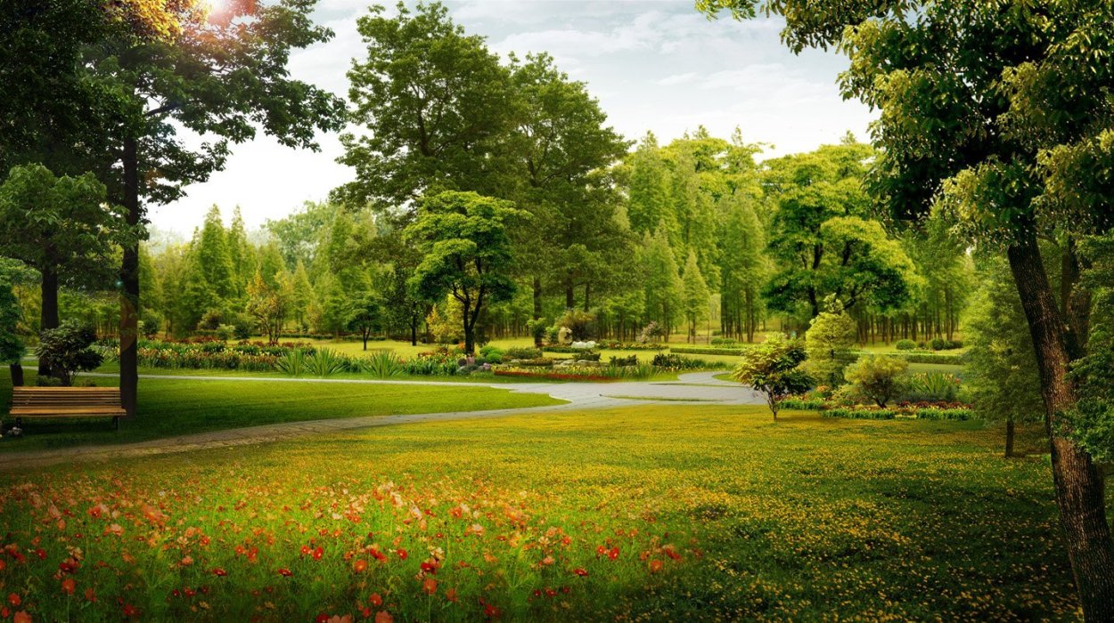 Природа парк лето