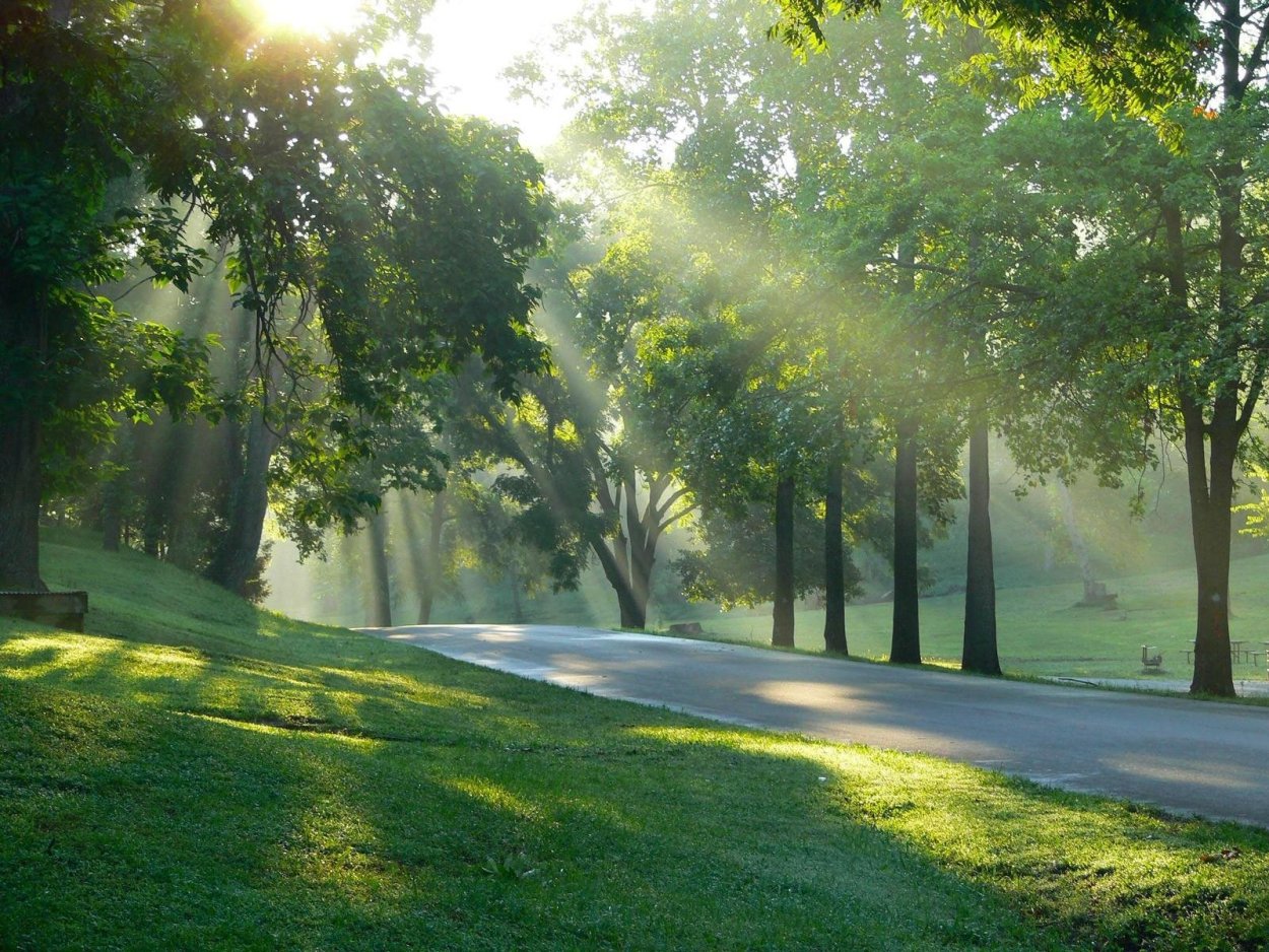 Солнечный пейзаж