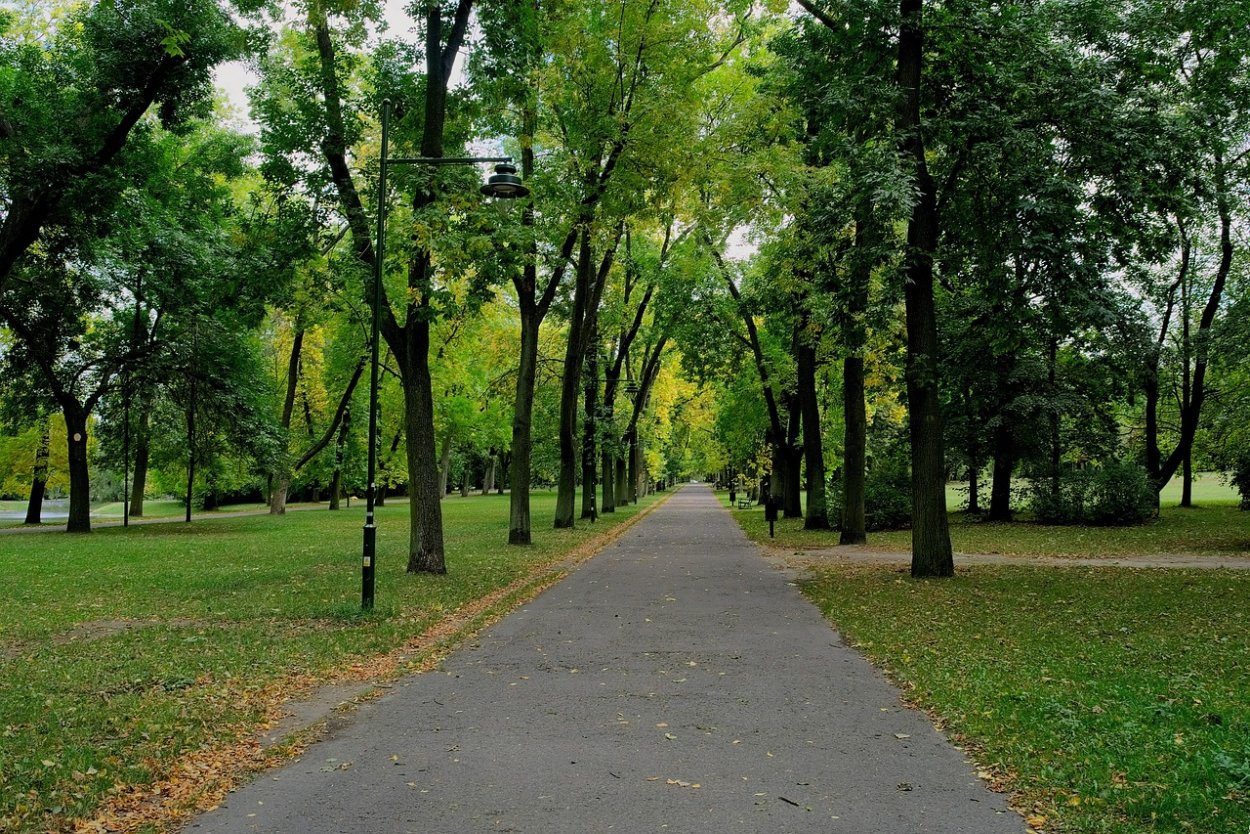 Летний сквер