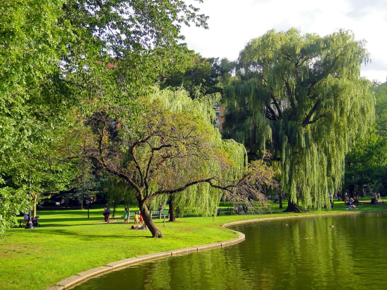 Парк Анниньмуйжас