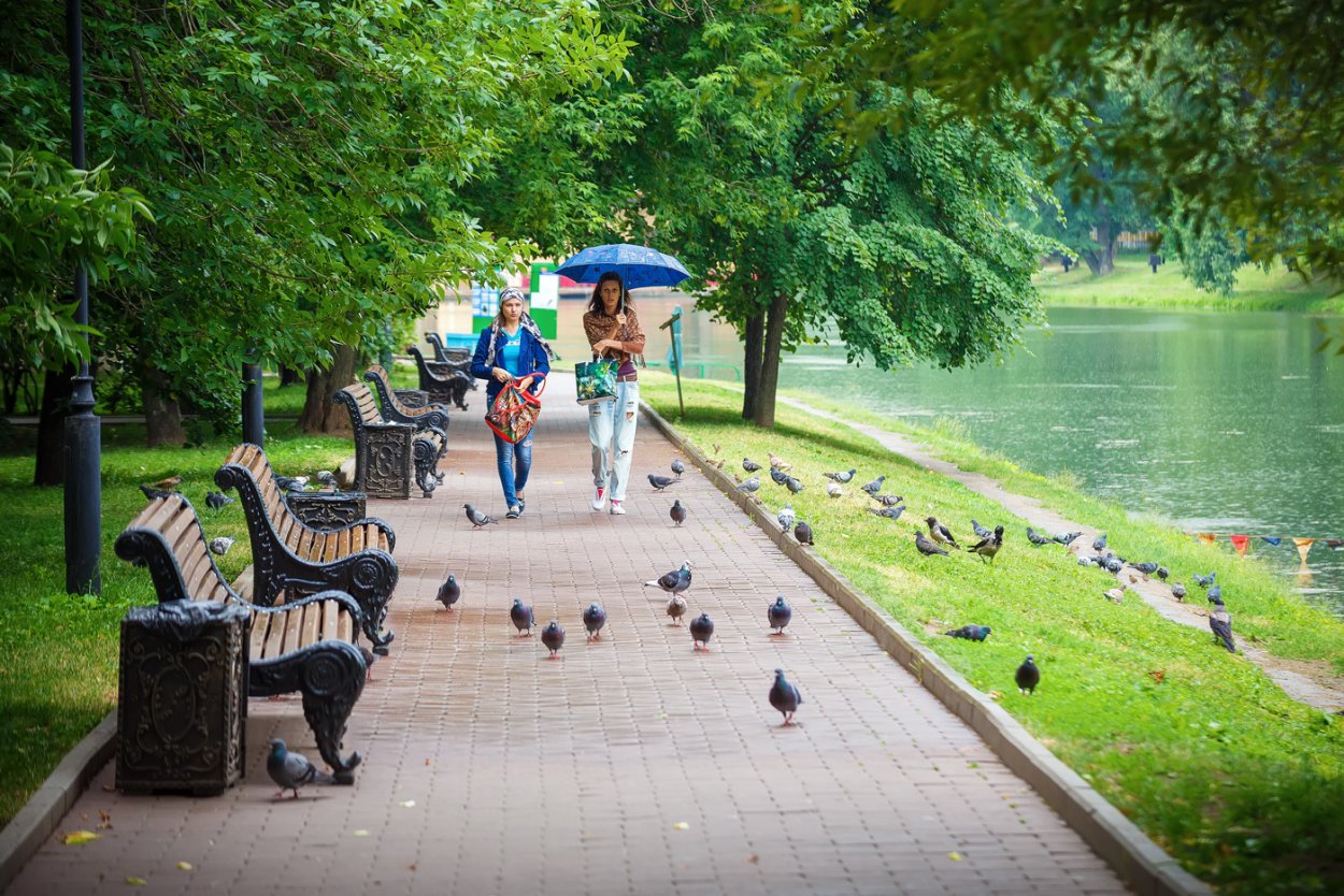 Прогулки в парках лето