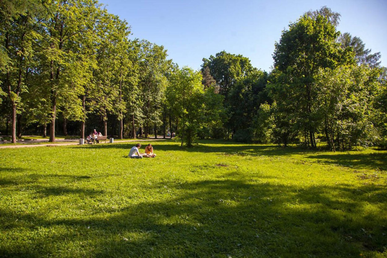 Летний парк