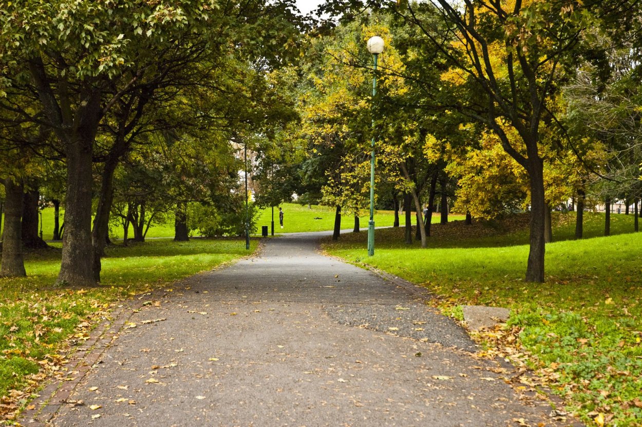 Парки летом