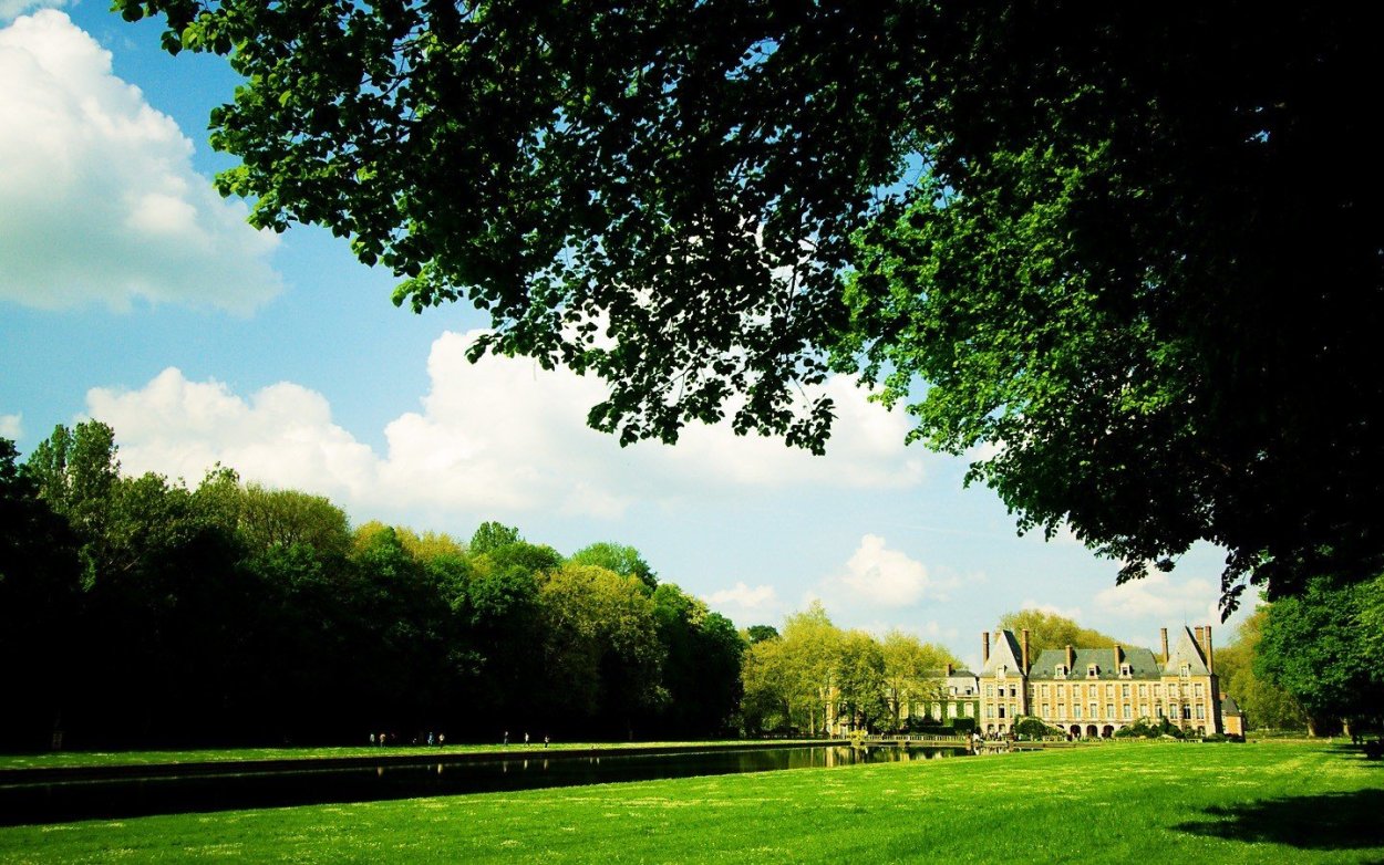 Природа зелень парк