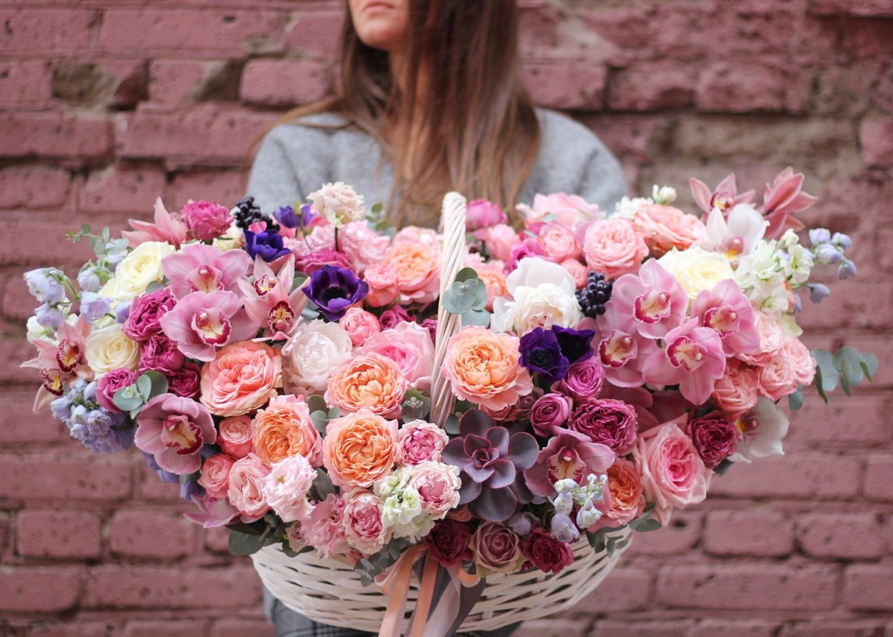 Шиповник пионовидный