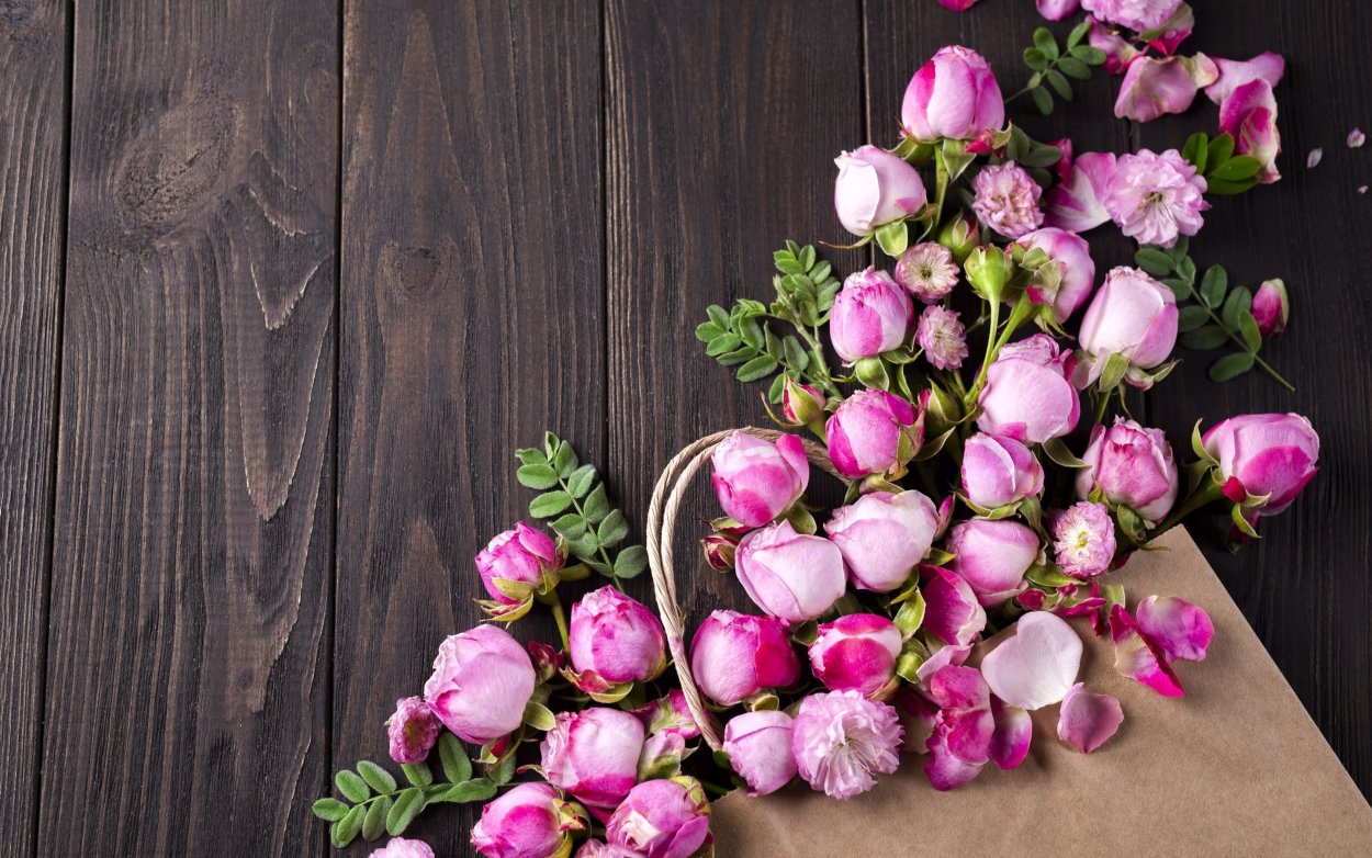 Pink pandora пеларгония